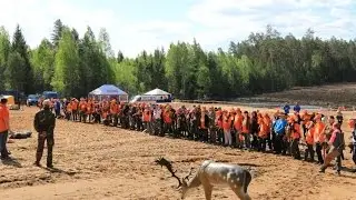 3D Турнир "Весенняя Охота" 2016