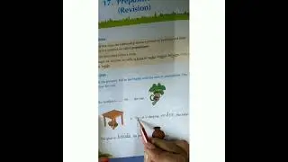 STD 3rd Grammar Ch 17 Preposition