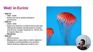 Web' in Evrimi