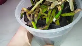 Мои реанимашки спустя 5 месяцев.