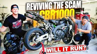 Reviving the $2,250 MYSTERY BIKE (WILL IT RUN?)