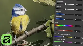 Using the Quick Adjustments Panel in Affinity
