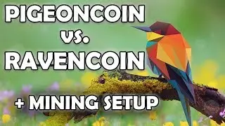 Майнинг Pigeoncoin 2018 год #1