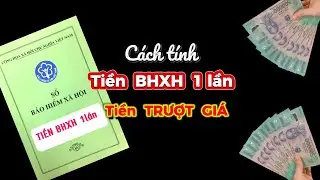 Cách tính tiền BHXH 1lần, tiền TRƯỢT GIÁ năm 2024