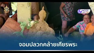 แห่ขอโชคจอมปลวกคล้ายเศียรพระ