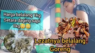 NIKMATNYA BELALANG GORENG KETIMBANG DAGING SAPI 🤣🤣 #kulinerindonesia #belalang