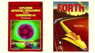 The programmer's imagination: Daniele Procida