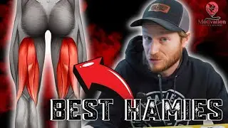 Nordic Hamstring Curl Strap: PT Recommended