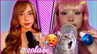 Asmr Colabe Com @ASMRSUGARBUNNY