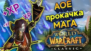 WOW CLASSIC АОЕ ПРОКАЧКА МАГА! ТВИЧ ДАЛ ОТВЕТ!