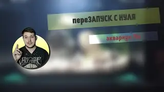 переЗАПУСК АКВАРИУМА С НУЛЯ |18литров