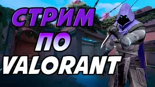 🔴 Стрим по Valorant | Сливаем званку) 🔴