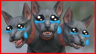WILDCRAFT? ДА! СУНДУКИ? ДА! ЦЕРБЕР? НЕТ