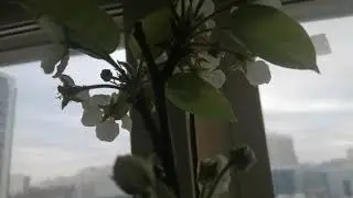 Позитивчик 8 марта