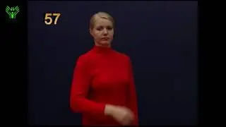 (057) Возмущаться, досадно (за несправедливость). Словарь лексики русского жестового языка