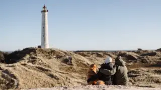 Urlaub mit Hund in Dänemark - Hundevideografie - Hvide Sande