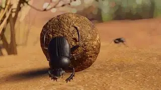 {PLANET ZOO} Sacred Scarab Beetle Exhibit Build