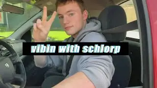 VIBIN WITH SCHLORP