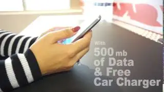 True Wireless - Government Benefit Lifeline Phone Program