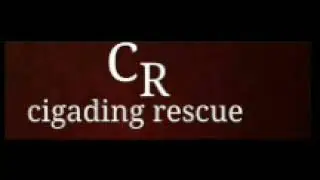#rescuekucing