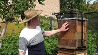 Подъемник улья  усовершенствованный