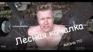 ЖИЗНЬ ПО. Лесная качалка для викингов, вот так вот, абсолютли.