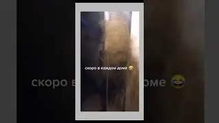Сеем веем посеваем  