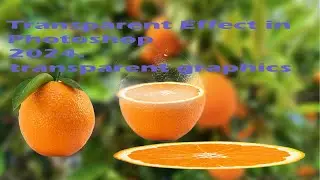 Transparent Effect in Photoshop 2024 transparent graphics