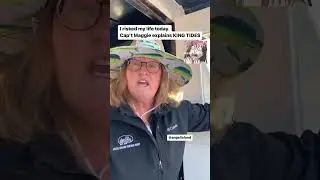 Aye Aye Captain