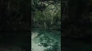 Nature Vibes!            #viral #amazing #youtubeshorts #beutiful