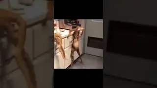 welcome to the cumcock city