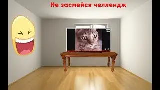 Тест на психику не засмейся челлендж)