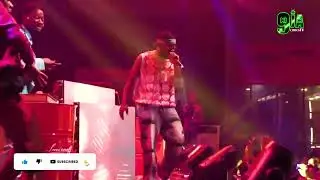 FALZ
