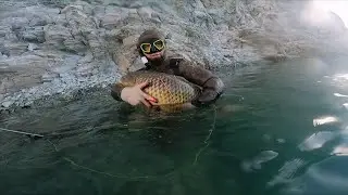 ТРОФЕЙНЫЙ САЗАН!!! ИДЕАЛЬНАЯ ЛОДКА ДЛЯ ПОДВОДНОЙ ОХОТЫ !!!Подводная охота в Дагестане!!!