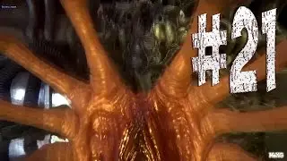 Alien: Isolation - Прохождение. Логово. #21