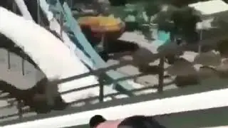 Biz.boshladg.siz.kurg(2)