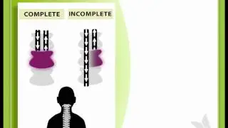 SCI & You 1.4-Complete and Incomplete