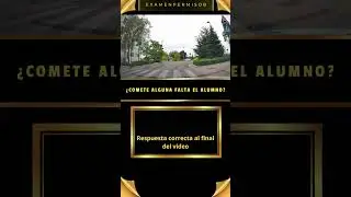 ¿Comete alguna falta?.