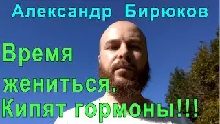 Подошло время жениться и кипят гормоны. Что делать?