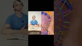 O temido Livro da Professora? 😱😱