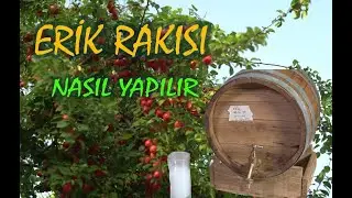 Erik Rakısı Yapımı