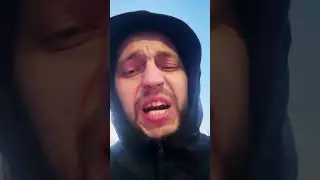 Холодный Питерский Май - Горшок - Медведь