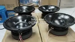 Live pro-12-1000pa 1000w Low Frequency transducer