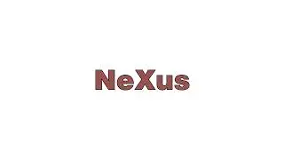 Steel connection design software | NeXus | ACCA software