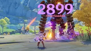 1.6 Electro DMG Buff Comparison | Genshin Impact