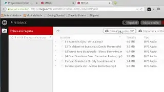 Cómo descargar archivos, mp3, videos, etc de MEGA a tu PC (ejemplo un enlace de canciones)