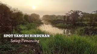SPOT GOKIL || SPOT YANG DI RINDUKAN || CASTING GABUS HARUAN || DAIDO XPEDITION TRAVEL ROD 6LBS
