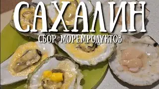 Сахалин - открытие сезона сбора морепродуктов