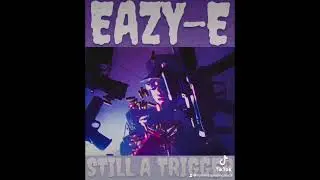 Eazy-E / Still A Trigger #eazye #mashup #remix #bigbonerecords