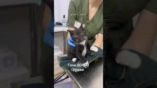 🥳Тони ДОМА🏡Урааа!!!